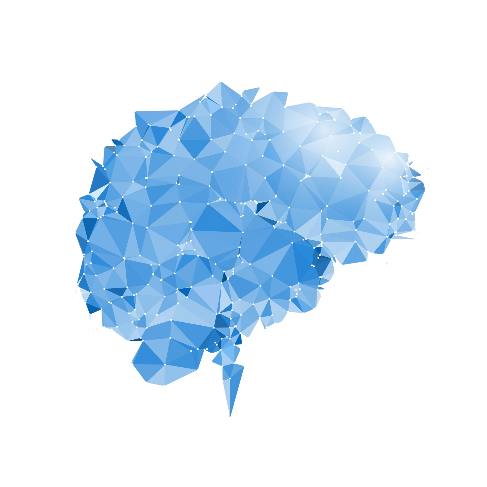 Brain